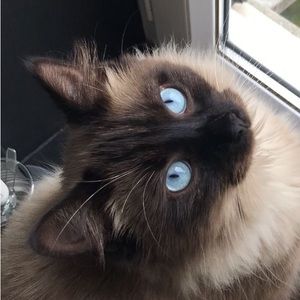 Meet your Posher, Rory